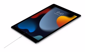 APPLE KABELIS A2441 MW2R3ZM/A USB-C UZ LIGHTNING 2M ORIĢINĀLĀ PLOMBA