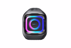 Havit SK910BT - 100W wireless Bluetooth speaker (black)