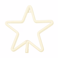 Neon LED Ziemassvētku zvaigzne silti balta FLNE22 Forever Light