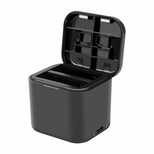 PULUZ lādētājs + atmiņas kartes futrālis Insta360 Ace / Ace Pro / Ace Pro 2