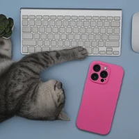 Viedtālruņa apvalks no silikona, 2 mm, iPhone 17 Pro, ar MagSafe – rozā krāsā