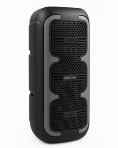 SQUEAK SPEAKER KARAOKE BEATONE BT 5.3 SQ1009