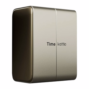 TimeKettle W4 Plus TWS tulkošanas austiņas, zelta krāsā
