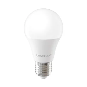 Forever Light LED Bulb E27 A55 4W 480lm 3000K class E