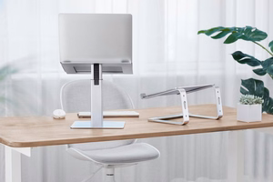 Gembird NBS-D1-02 klēpjdatora statīvs sudrabs 39.6 cm (15.6")