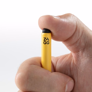 ZAGG Pro Stylus2 priekš Apple iPad - pelēks