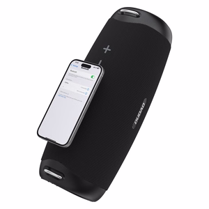 Dudao Y21Pro Bezvadu Skaļrunis with RGB Backlight Bluetooth 5.3 - melns