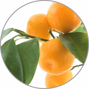Medisana aromātiskā esence Apelsīns