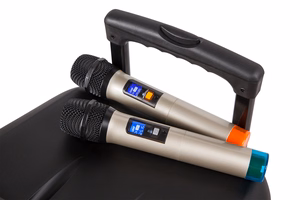 Aktīvā skaļruņu kolonna ar 2 bezvadu UHF mikrofoniem, SD, Bluetooth, FM, USB, 60 W