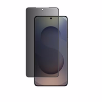 AmazingThing Radix Privacy Glass rūdīts stikls priekš Samsung S26