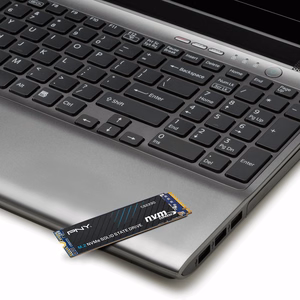 PNY CS2230 500 GB M.2 PCI Express 3.0 NVMe 3D NAND