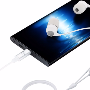 Austiņas 3mk Wired Earphones USB-C white