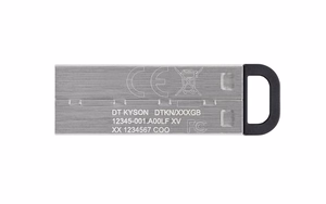 Kingston Technology DataTraveler 64GB Kyson USB флешка