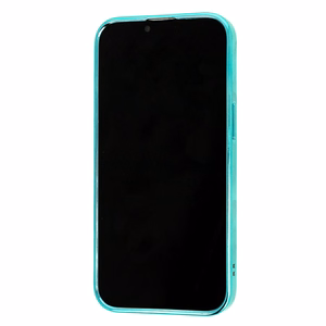 Tel Protect Magsafe Luxury Case for Iphone 11 Pro Max Mint