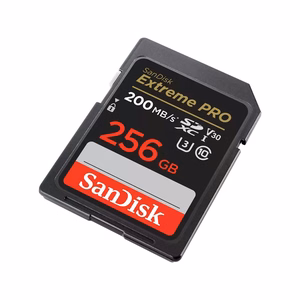 SDXC atmiņas karte SANDISK 256GB UHS-I SDSDXXD-256G-GN4IN