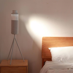HiFuture Wedge Bluetooth skaļrunis - sudraba un balts