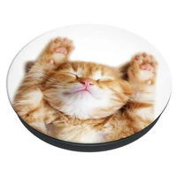 Popsockets 2 Snoozy Cat turētājs un tālruņa statīvs
