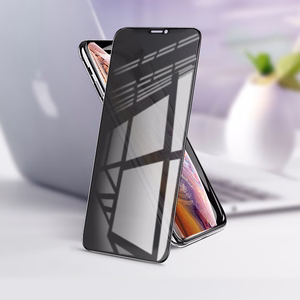 Borofone aizsargstikls BF7 Diamond Armor pilnekrāna Anti-spy Iphone X/XS/11 Pro - 10 gabali