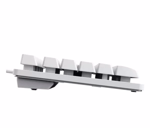 KEYBOARD USB GXT 833W THADO/TKL ENG WHITE 25894 TRUST