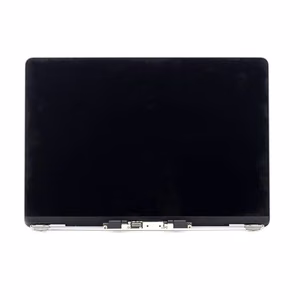 LCD ekrāna modulis Apple A2179 2020 (sudraba)