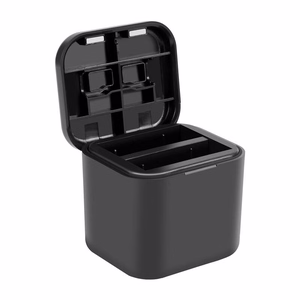 PULUZ lādētājs + atmiņas kartes futrālis Insta360 Ace / Ace Pro / Ace Pro 2