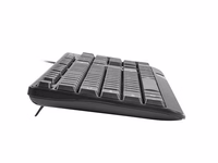 NATEC KEYBOARD TROUT SLIM USB, US LAYOUT, melns