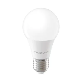 Forever Light LED Bulb E27 A60 7W 806lm 3000K class E