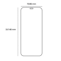 Rūdītais stikls 2,5D Honor 200 Lite 5G (global)