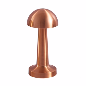 Nakts lampa WDL-04 bezvadu rozā zelta