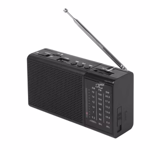 Портативное радио LTC REGA, USB, TF, AUX, мини LED фонарик — чёрный
