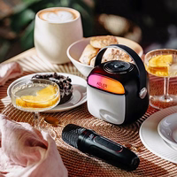 Adler AD 1199 melns Karaoke speaker with microphone - SD/USB/AUX/Bluetooth