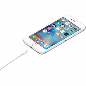 Apple Lightning uz USB kabelis (1 m)