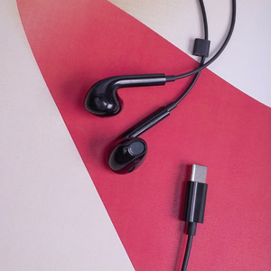 Maxlife wired earphones MXEP-04 USB-C black
