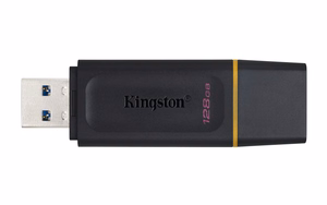 Kingston USB zibatmiņa 128GB USB 3.2 DT Exodia