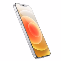 HOCO rūdītais stikls HD Anti-static (komplekts 25in1) - MULTIPACK iPhone 12 Pro Max (G10)