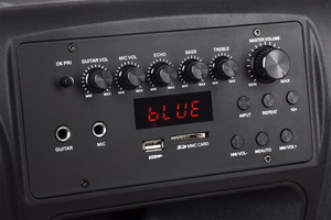 Aktīvā skaļruņu kolonna ar 2 bezvadu mikrofoniem, SD, Bluetooth, USB, 12 collas, 40 W