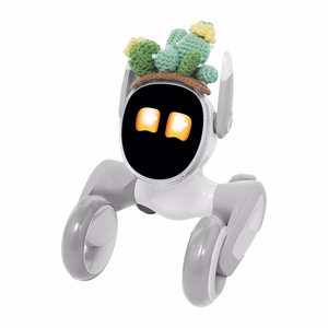 Adīts kostīms Loona Premium – kaktuss
