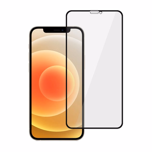 Privātuma aizsargstikls Tel Protect 10X Privacy Titanium paredzēts Iphone 12/12 Pro