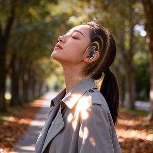 Dudao U17Z Bluetooth 5.3 OWS austiņas ar austiņu āķiem - melnas