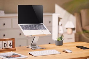 Gembird NBS-D1-03 laptop stand sudraba 39.6 cm (15.6")