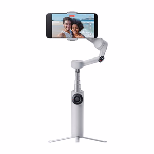 Insta360 Flow 2, pelēks (HU)