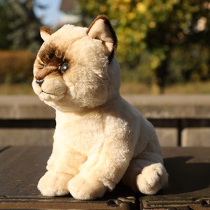 Rappa Soft Collection videi draudzīga reālistiska plīša rotaļlieta – sēdošs Ragdoll kaķis, 23 cm