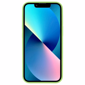 TEL PROTECT ādas greznais vāciņš ar statīvu iPhone 11 Pro viedtālrunim piparmētru krāsas