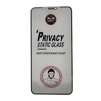 Rūdīts stikls ESD Anti-Static Privacy Apple iPhone 15 Plus