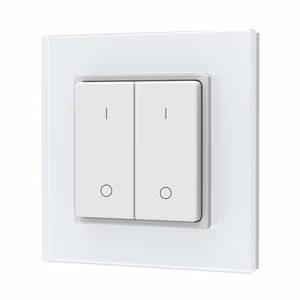 PF1-2(G) RF Remote Control, Single Color, 2 Zones