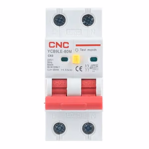 Residual Current Breaker ar Over-Current, 2P, 63A, class C, 30mA, 6kA