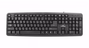 Esperanza TKR101 keyboard Office USB QWERTY English, Russian Black