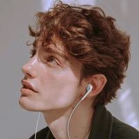 Dudao X3C ieliekamās vadu USB-C austiņas 1.2m - baltas