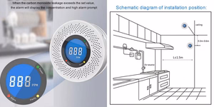 Carbon Monoxide (CO) Detector