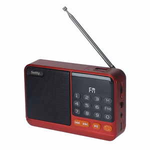 Setty mini FM radio + Bluetooth skaļrunis SFM-01M